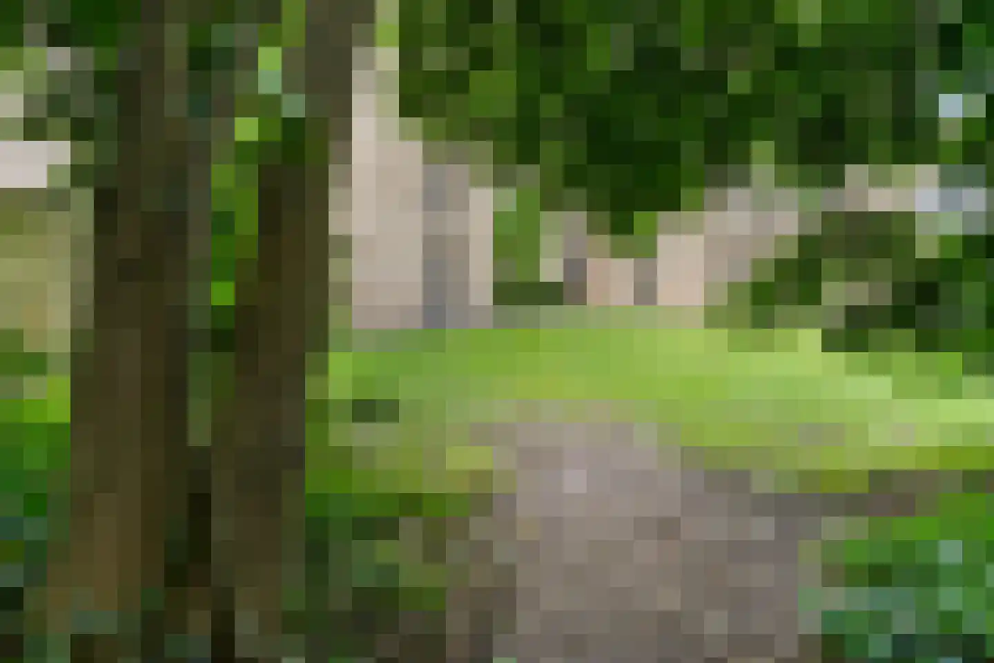 Ernst Casimirlaan 115 Ede thumbnail 41