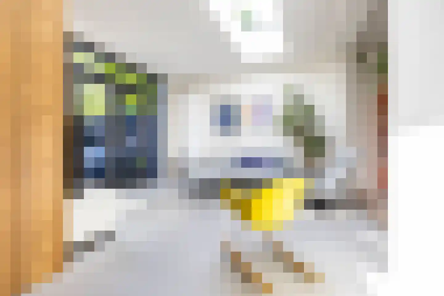 Ernst Casimirlaan 28 Groningen thumbnail 19