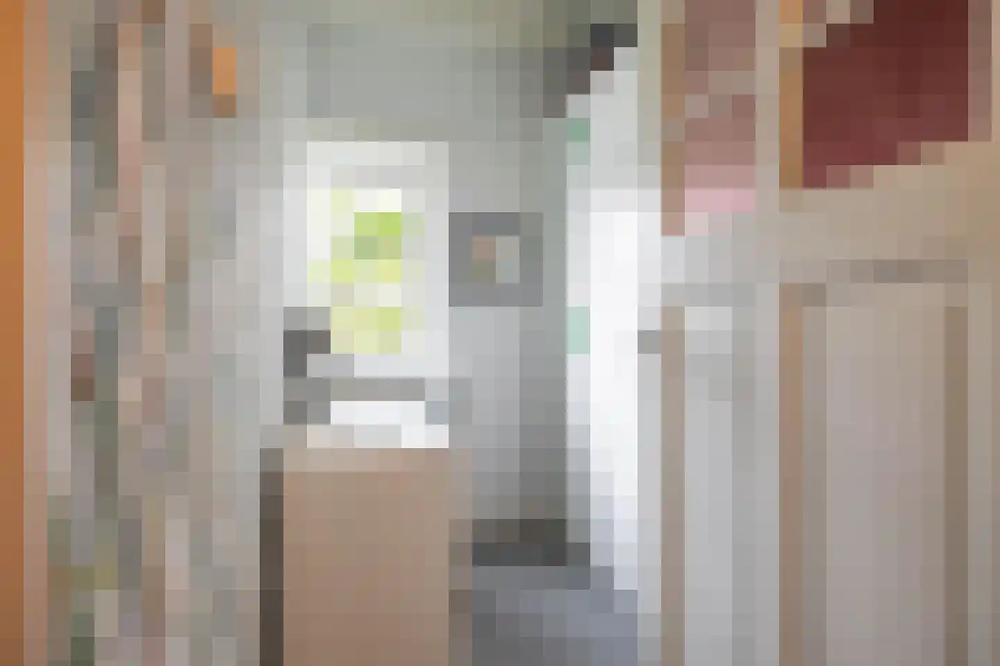 Ernst Casimirlaan 28 Groningen thumbnail 32
