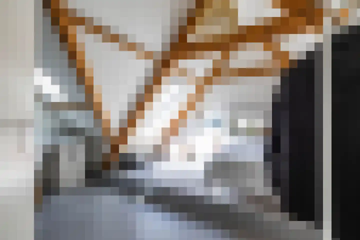 Ernst Casimirlaan 28 Groningen thumbnail 38