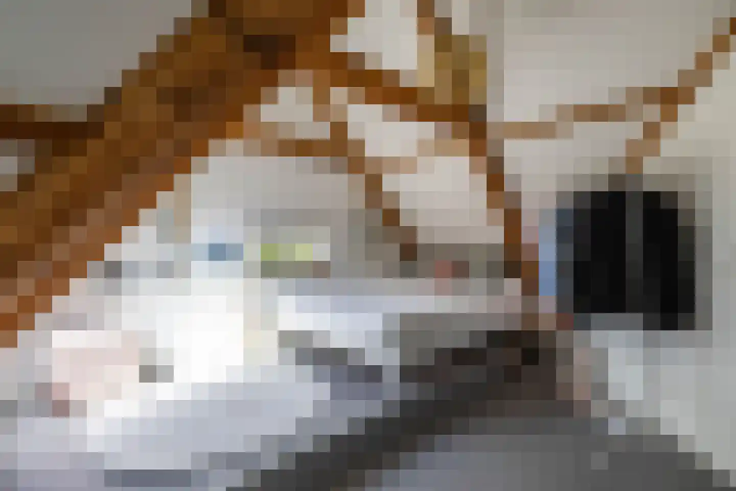 Ernst Casimirlaan 28 Groningen thumbnail 39