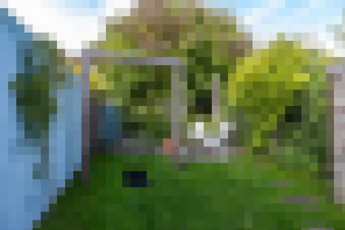 Ernst Casimirlaan 33 Groningen thumbnail 32