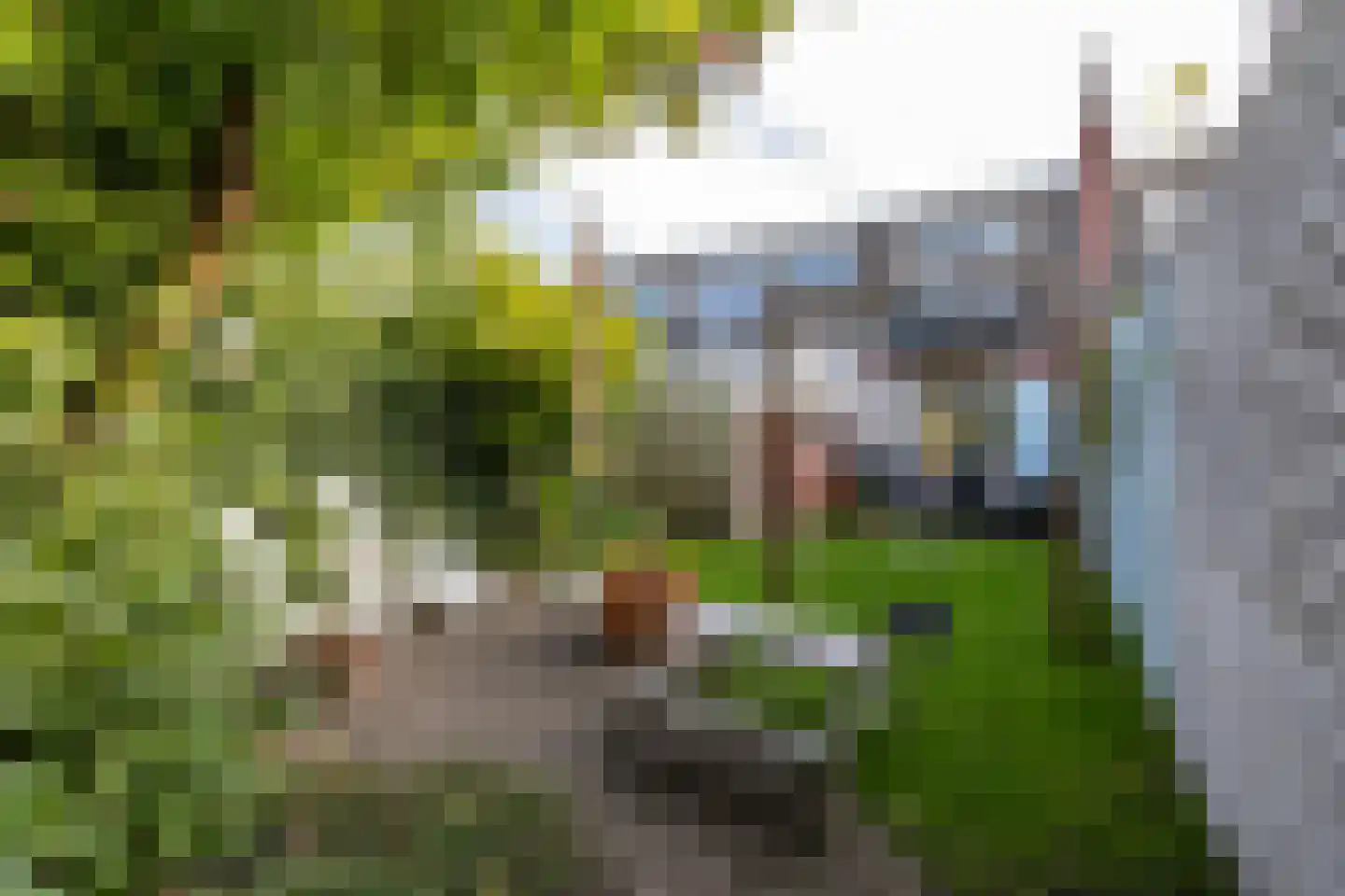 Ernst Casimirlaan 33 Groningen thumbnail 34