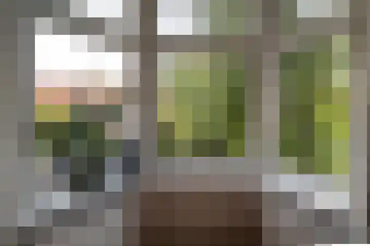 Ernst Casimirlaan 45 a Groningen thumbnail 19