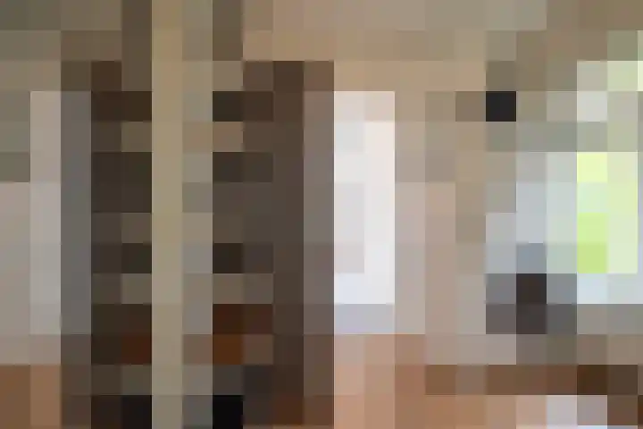 Ernst Casimirlaan 45 a Groningen thumbnail 31