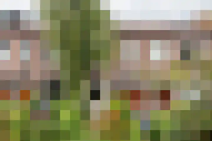 Ernst Casimirlaan 45 a Groningen thumbnail 6