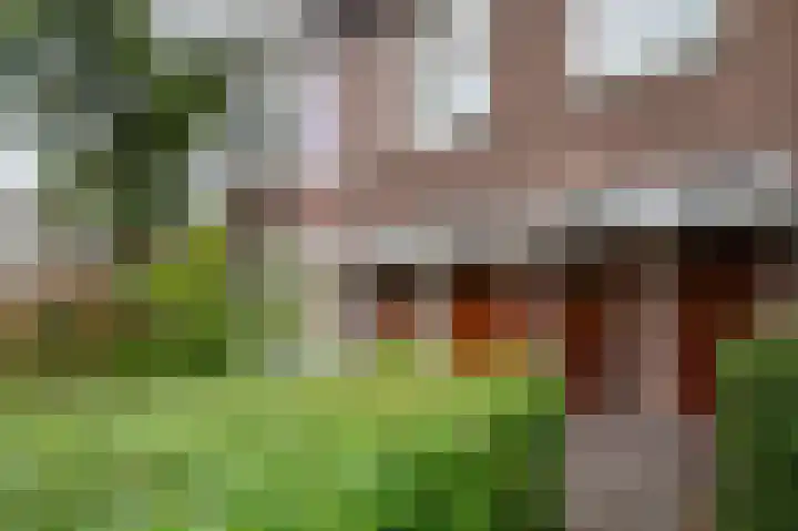 Ernst Casimirlaan 45 a Groningen thumbnail 8