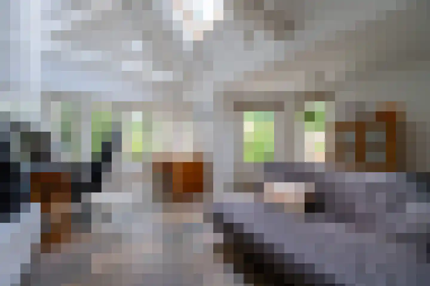 Ernst Casimirlaan 46 Zeist thumbnail 18