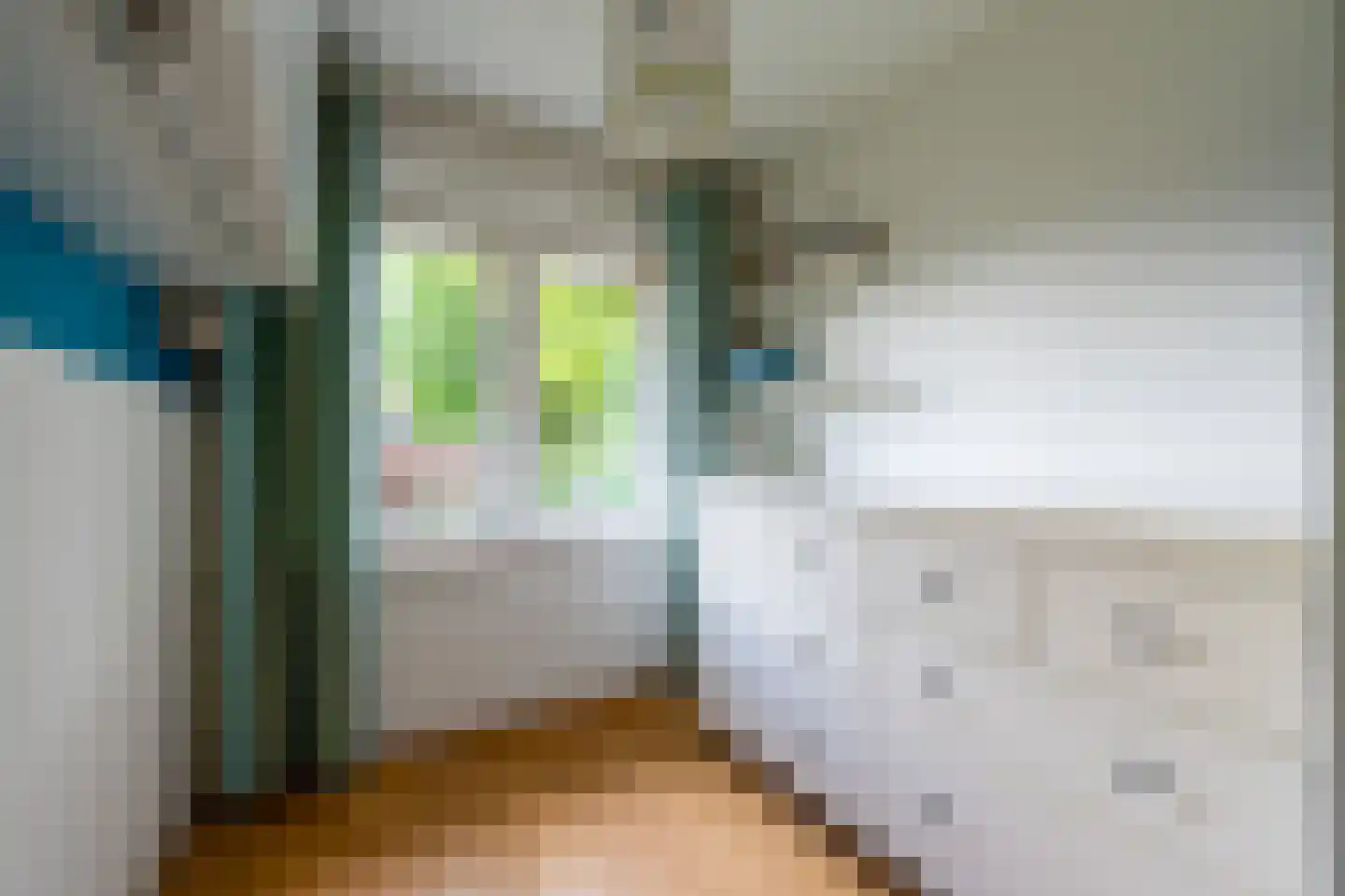 Ernst Casimirlaan 46 Zeist thumbnail 30