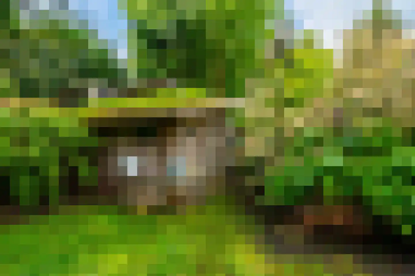 Ernst Casimirlaan 46 Zeist thumbnail 44