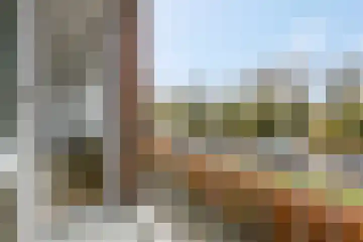 Ernst Casimirlaan 52 Ede thumbnail 23