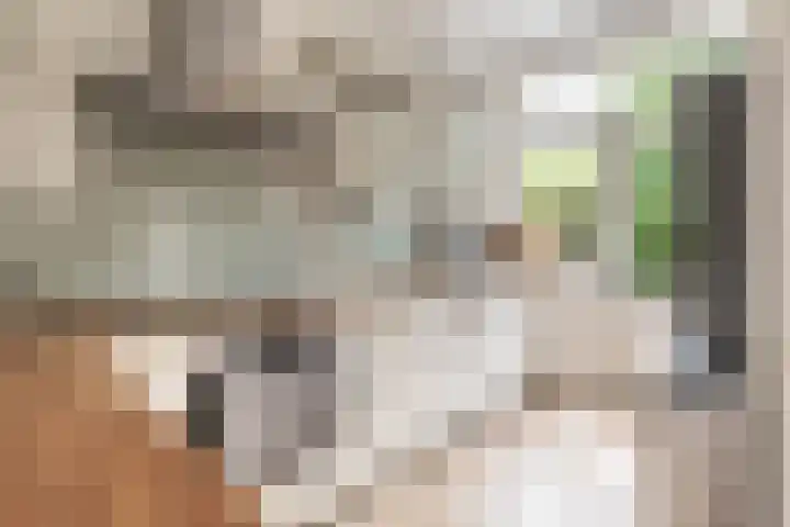 Ernst Casimirlaan 54 Overveen thumbnail 12