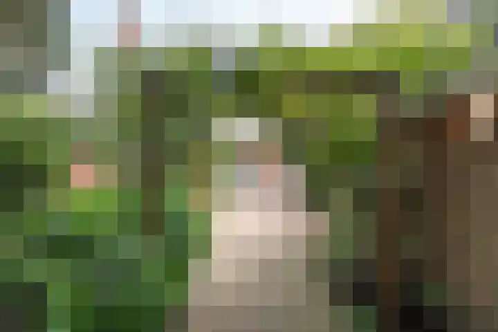 Ernst Casimirlaan 54 Overveen thumbnail 15