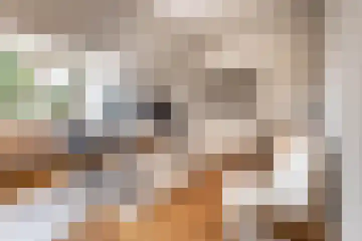 Ernst Casimirlaan 54 Overveen thumbnail 37