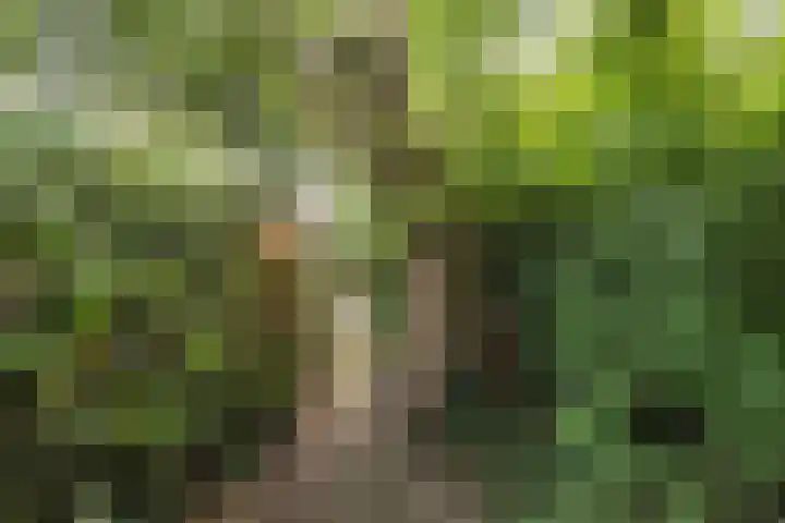 Ernst Casimirlaan 54 Overveen thumbnail 40