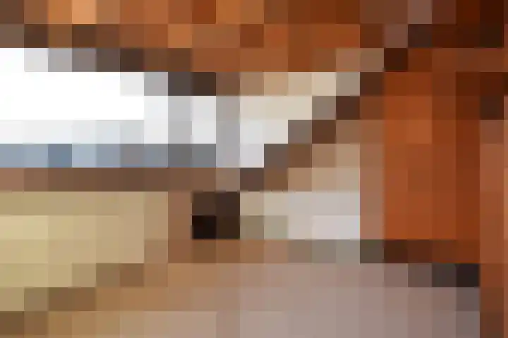 Ernst Casimirlaan 6 Waddinxveen thumbnail 25
