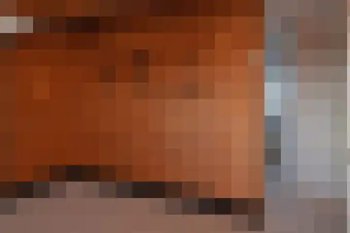Ernst Casimirlaan 6 Waddinxveen thumbnail 28
