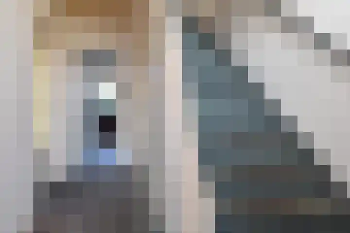 Ernst Casimirlaan 6 Waddinxveen thumbnail 6