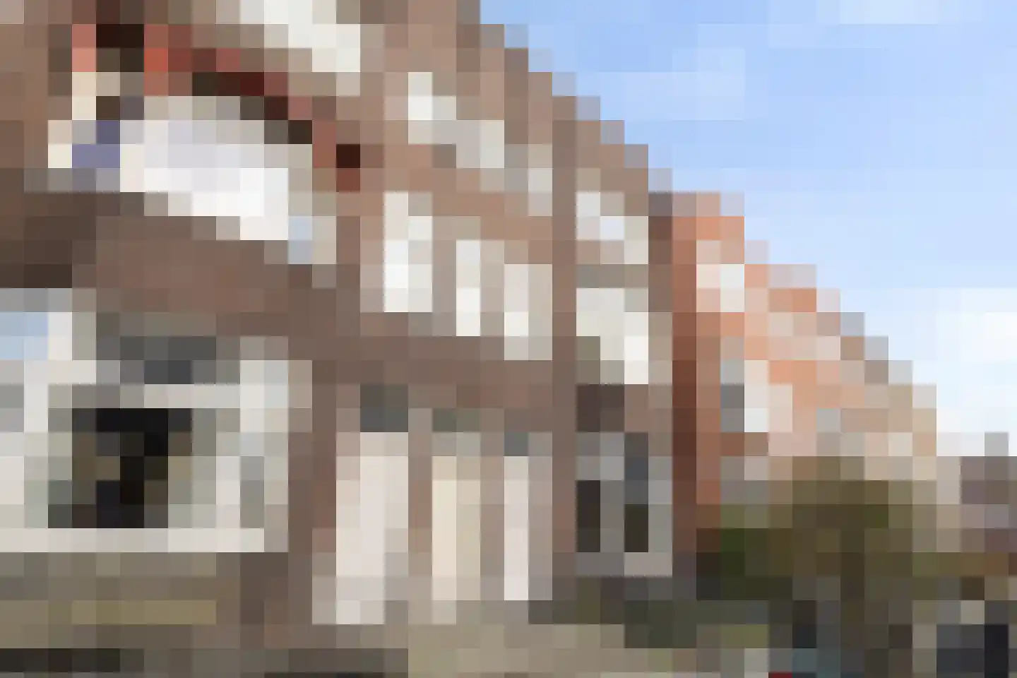 Ernst Casimirlaan 9 a Groningen foto 2