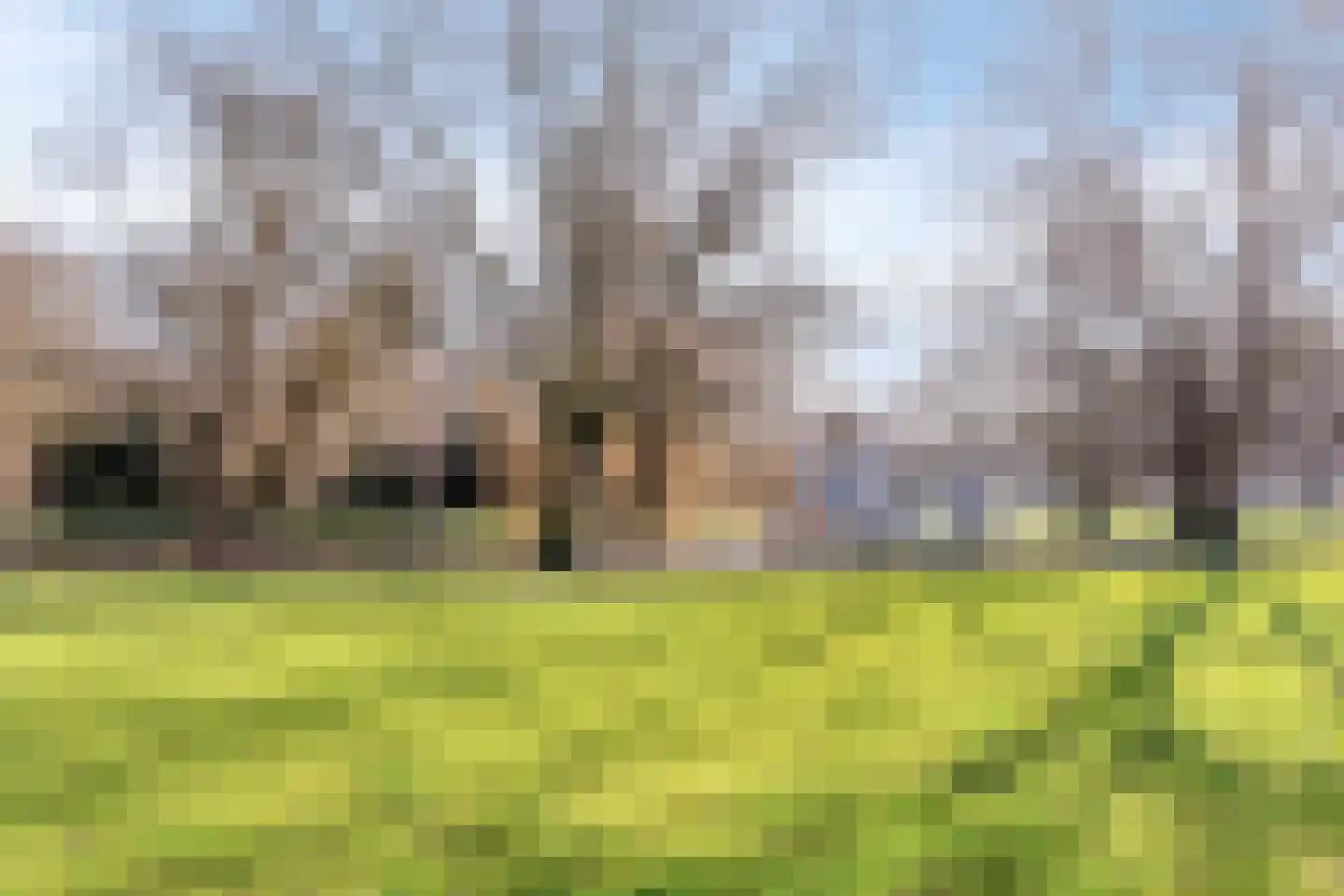 Ernst Casimirlaan 9 a Groningen thumbnail 37
