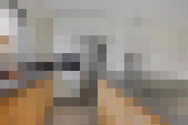 Ernst Casimirlaan 9 Heerenveen thumbnail 17