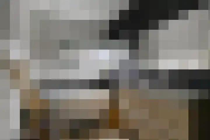 Ernst Casimirlaan 9 Heerenveen thumbnail 21