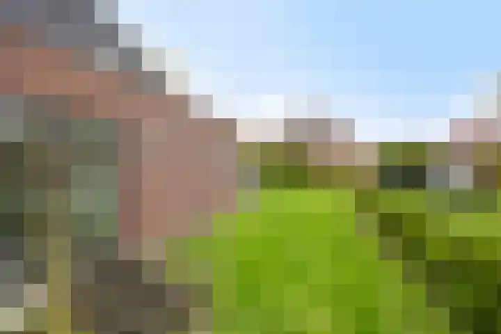Ernst Casimirlaan 9 Heerenveen thumbnail 23