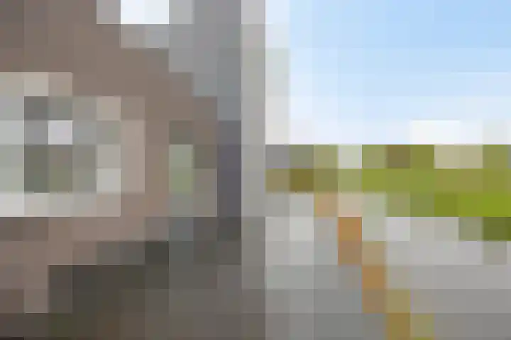 Ernst Casimirlaan 9 Heerenveen thumbnail 24