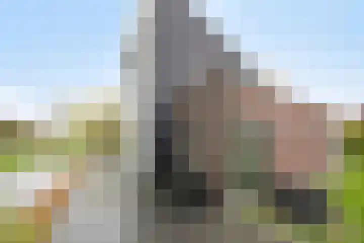 Ernst Casimirlaan 9 Heerenveen thumbnail 25