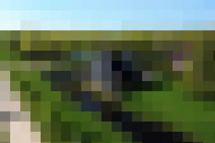 Ernst Casimirlaan 9 Heerenveen thumbnail 32