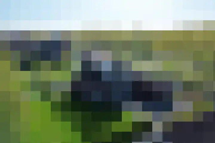 Ernst Casimirlaan 9 Heerenveen thumbnail 4