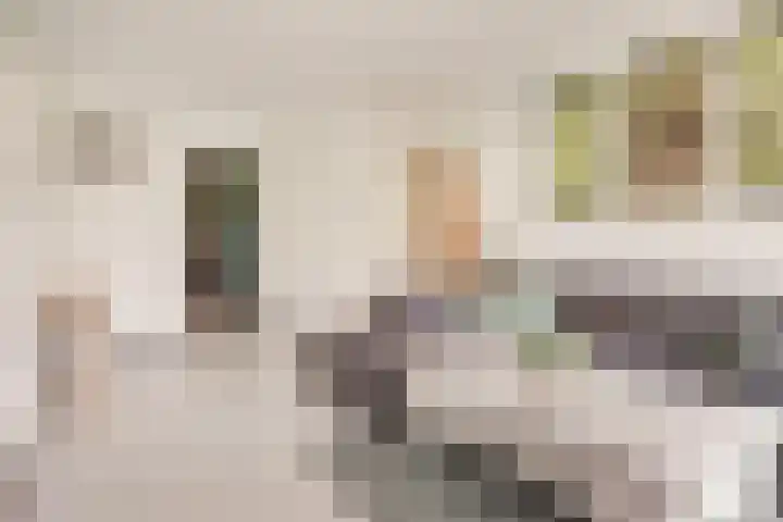 Ernst Casimirlaan 99 Ede thumbnail 5