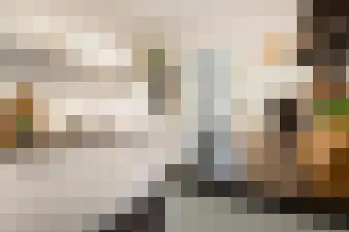 Ernst Casimirlaan 99 Ede thumbnail 8