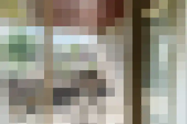 Ernst Casimirstraat 1 Wezep thumbnail 21