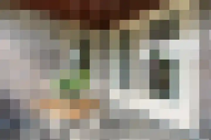 Ernst Casimirstraat 1 Wezep thumbnail 23