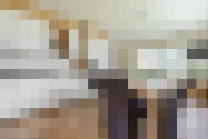 Ernst Casimirstraat 1 Wezep thumbnail 8