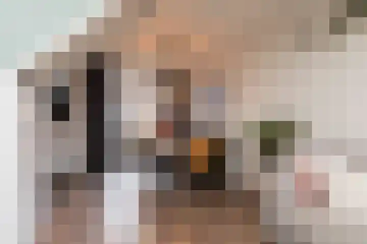 Ernst Casimirstraat 10 Sneek thumbnail 6