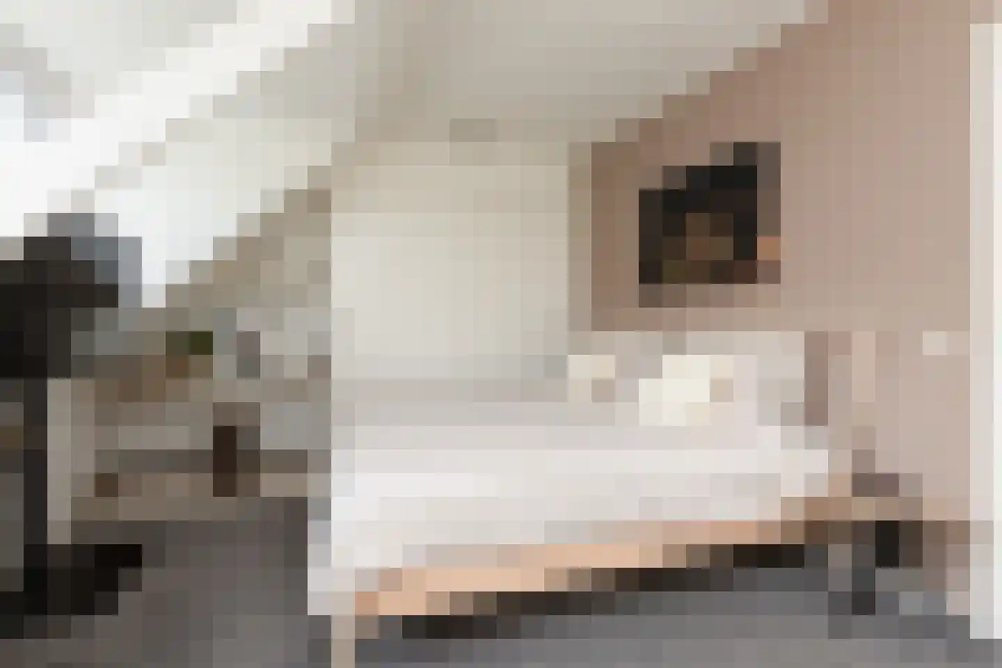 Ernst Casimirstraat 12 Sneek thumbnail 21