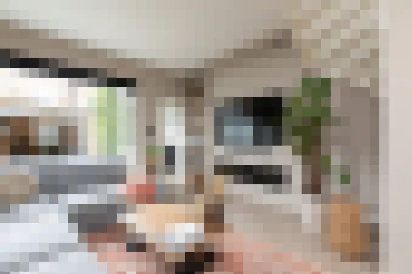 Ernst Casimirstraat 12 Sneek thumbnail 4