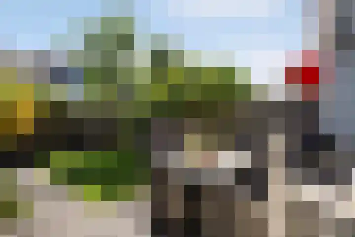 Ernst Casimirstraat 17 Zoetermeer thumbnail 31