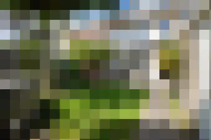 Ernst Casimirstraat 17 Zoetermeer thumbnail 4