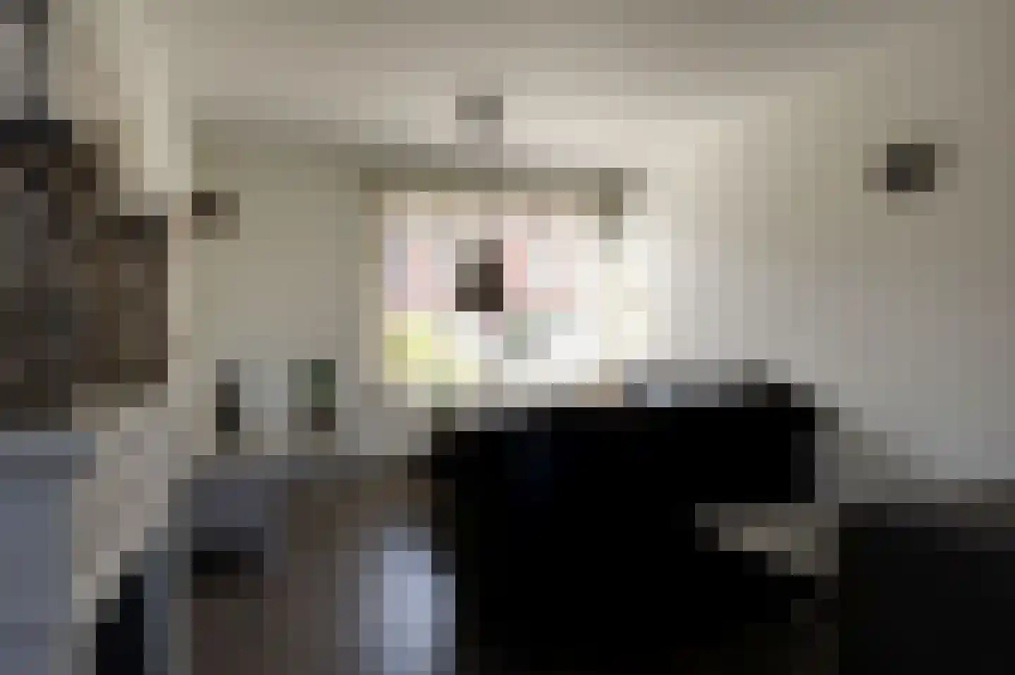Ernst Casimirstraat 18 Bad Nieuweschans thumbnail 10