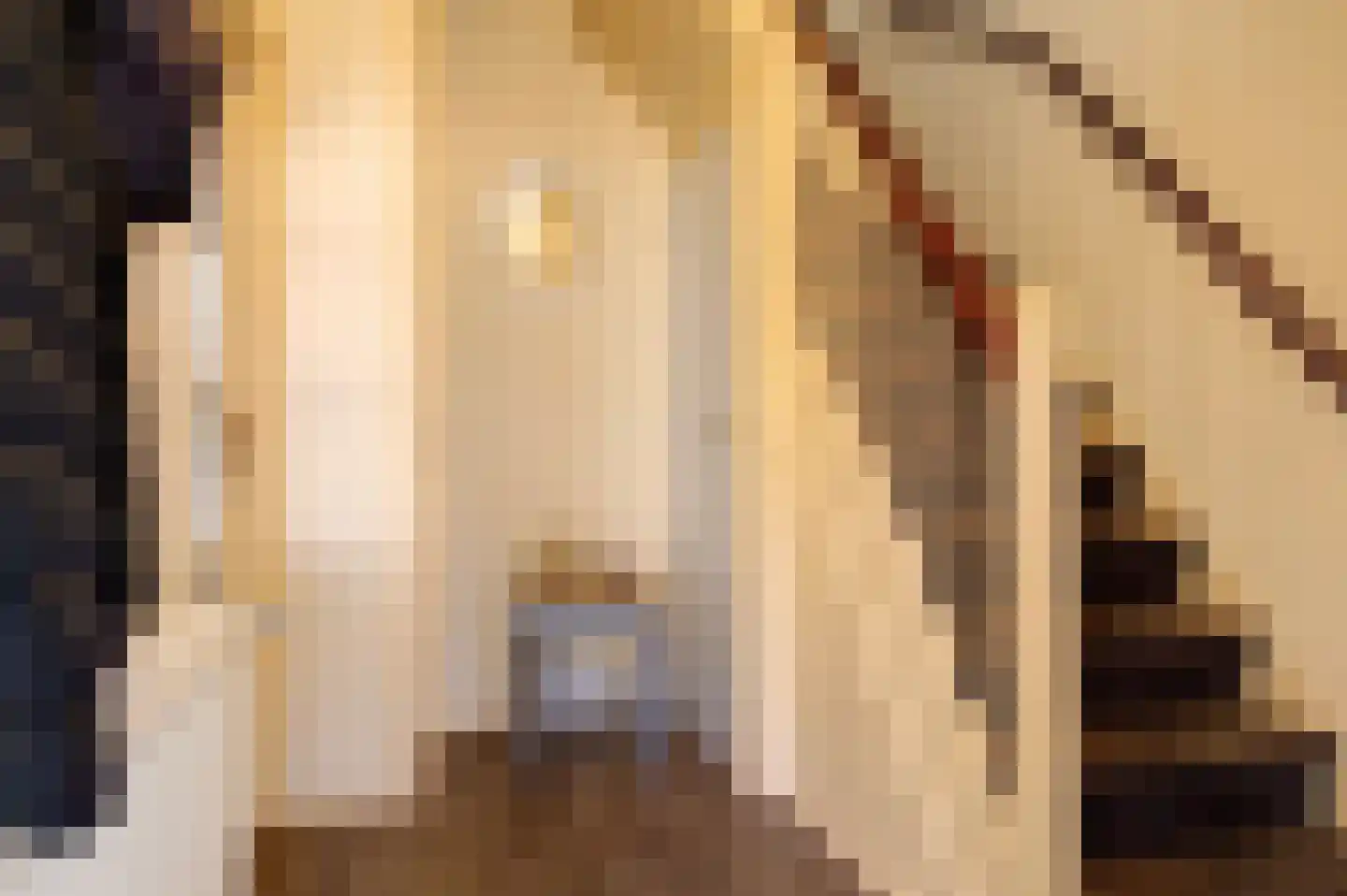 Ernst Casimirstraat 18 Bad Nieuweschans thumbnail 18
