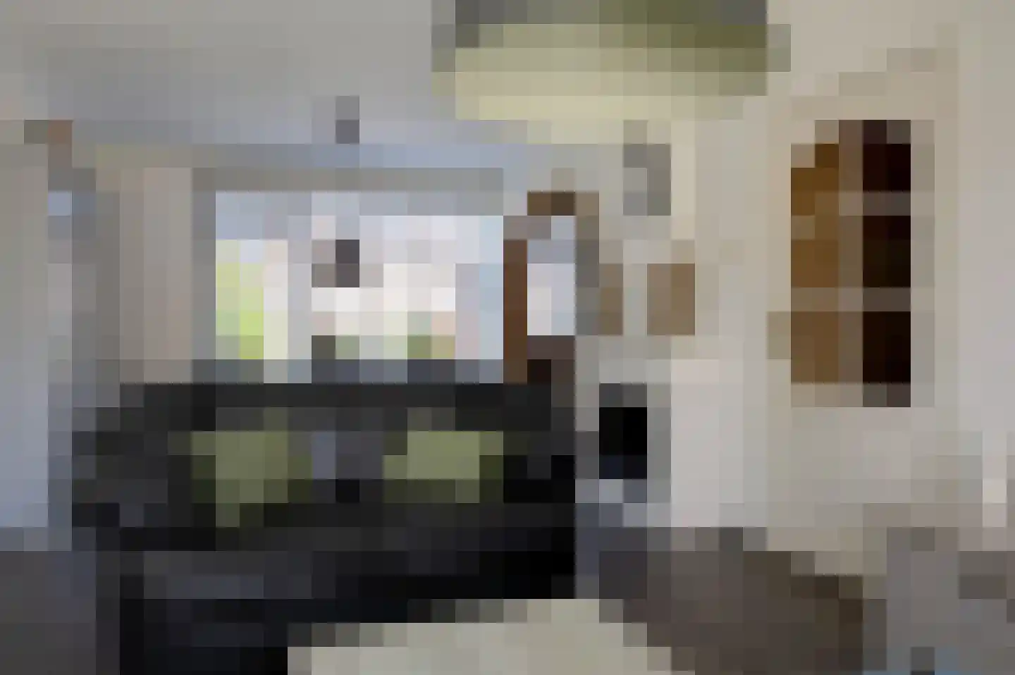 Ernst Casimirstraat 18 Bad Nieuweschans thumbnail 8