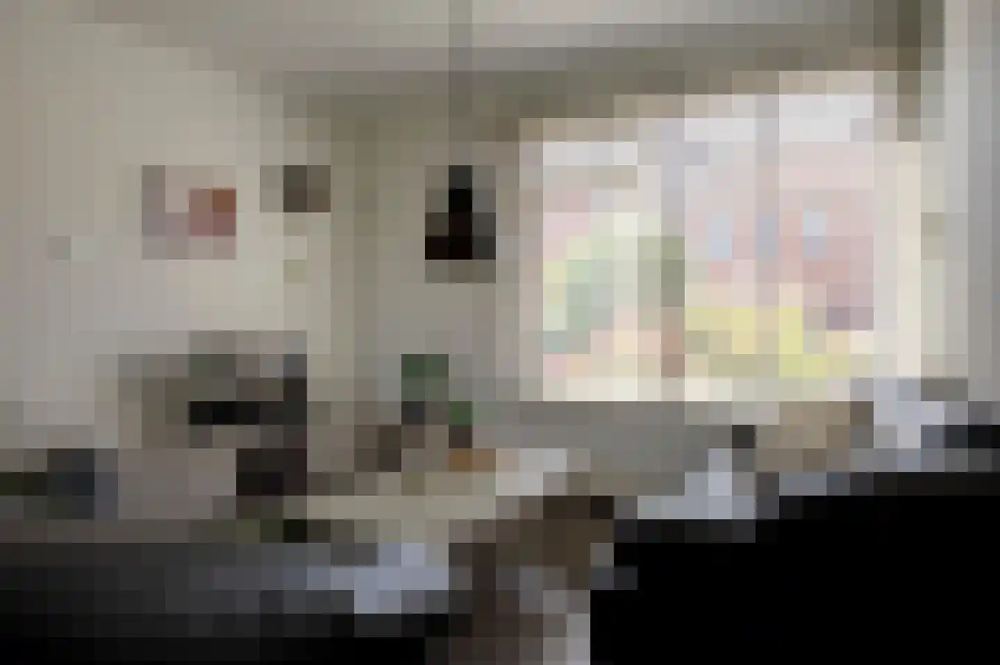 Ernst Casimirstraat 18 Bad Nieuweschans thumbnail 9