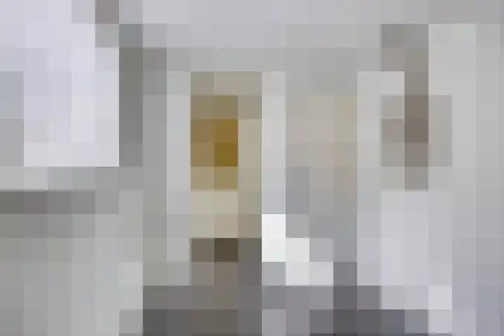 Ernst Casimirstraat 3 Sneek thumbnail 22