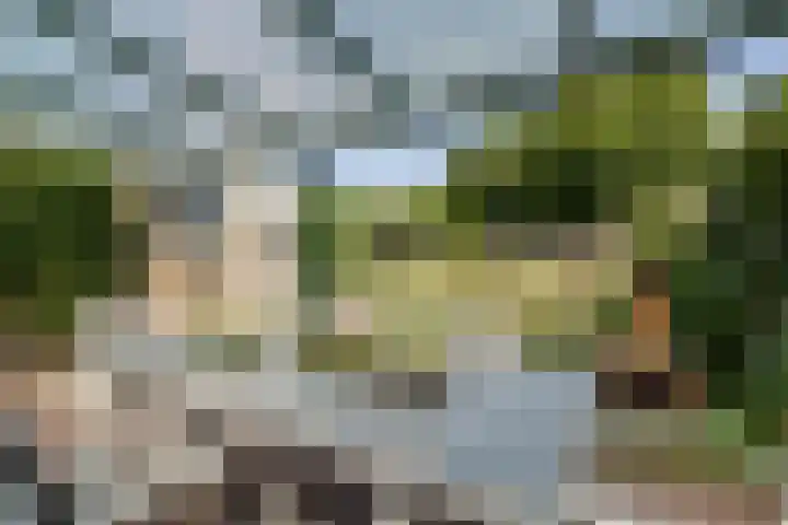 Ernst Casimirstraat 3 Weert thumbnail 34