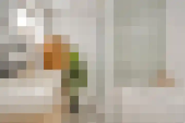 Ernst Casimirstraat 4 Sneek thumbnail 20