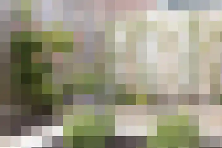 Ernst Casimirstraat 4 Sneek thumbnail 35