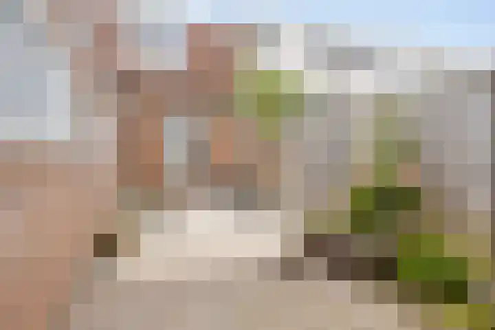Ernst Casimirstraat 4 Sneek thumbnail 5